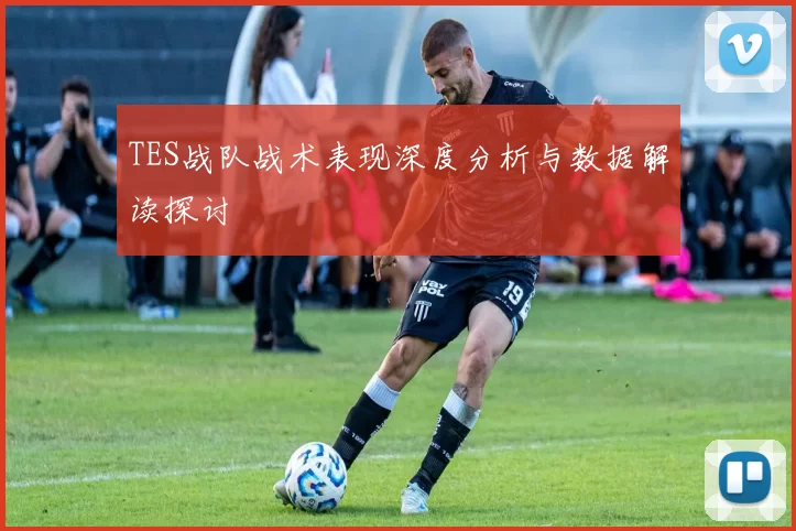 TES战队战术表现深度分析与数据解读探讨