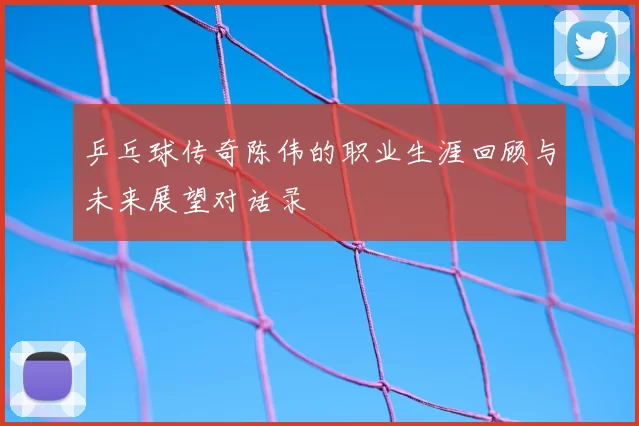 乒乓球传奇陈伟的职业生涯回顾与未来展望对话录
