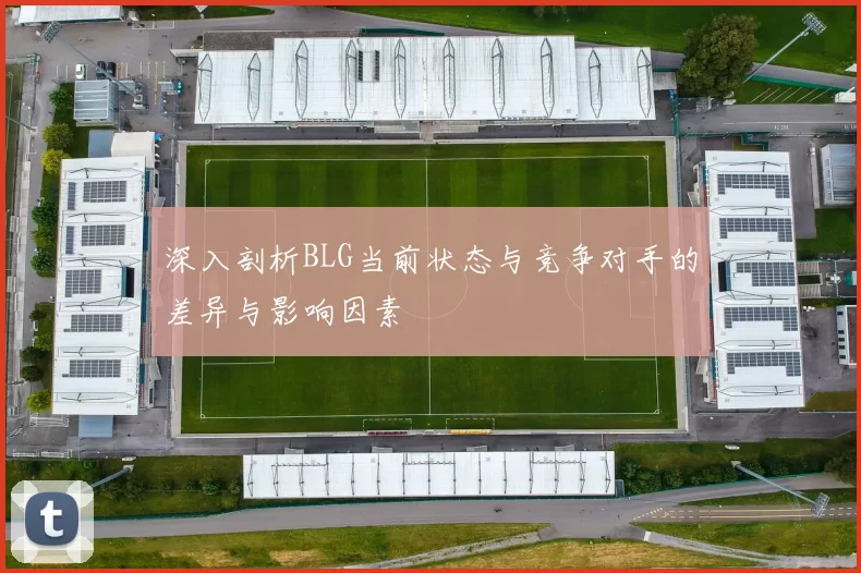 深入剖析BLG当前状态与竞争对手的差异与影响因素