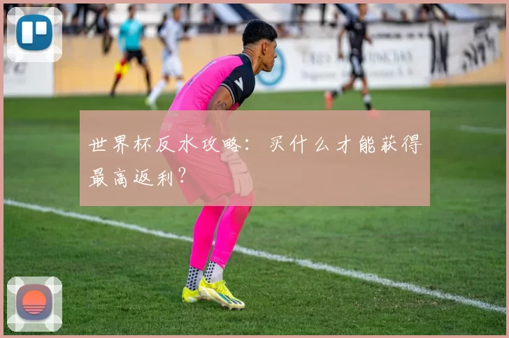 世界杯反水攻略:买什么才能获得最高返利?