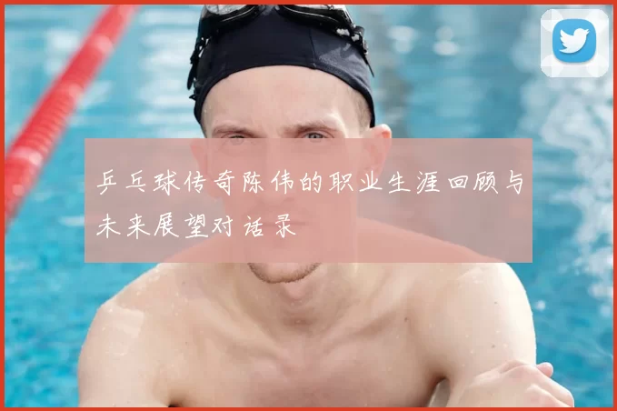 乒乓球传奇陈伟的职业生涯回顾与未来展望对话录
