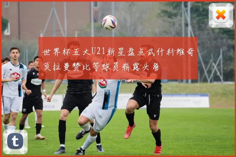 世界杯五大U21新星盘点武什科维奇莫拉曼赞比等球员崭露头角