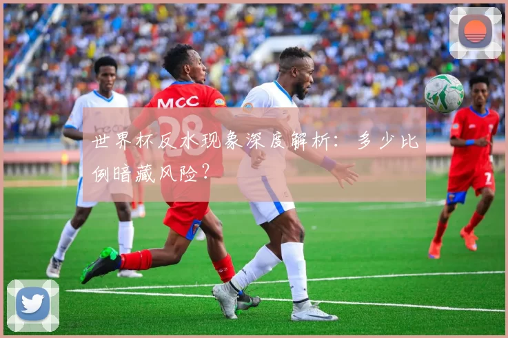 世界杯反水现象深度解析：多少比例暗藏风险？