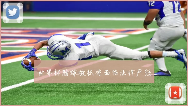 世界杯赌球被抓将面临法律严惩