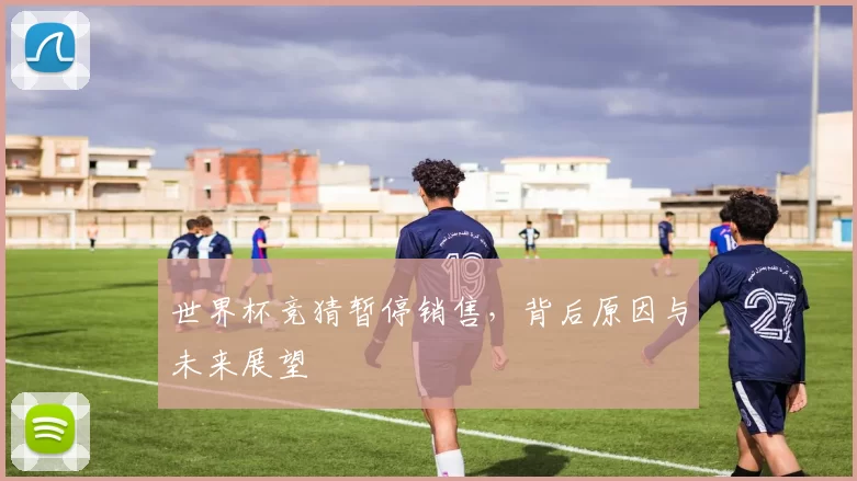 世界杯竞猜暂停销售，背后原因与未来展望