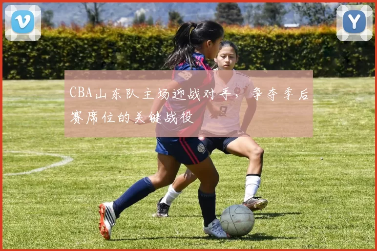 CBA山东队主场迎战对手，争夺季后赛席位的关键战役